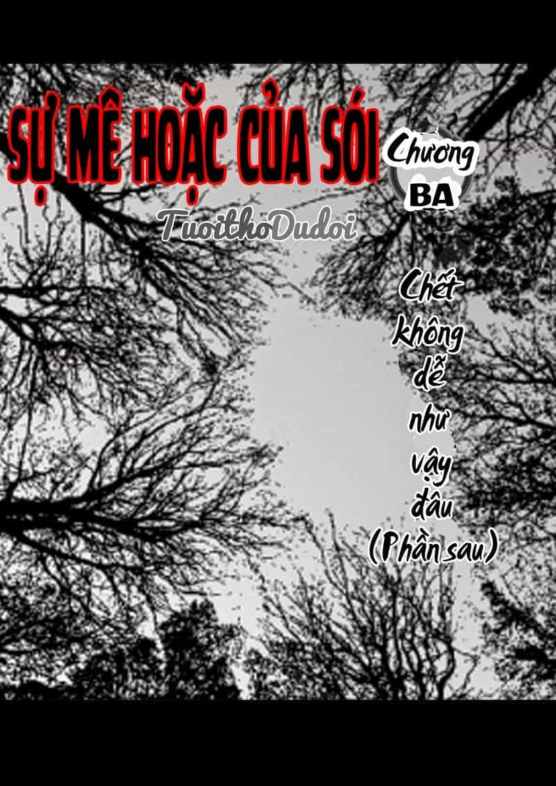 Sự Mê Hoặc Của Sói - Chương 3 - ảnh 2