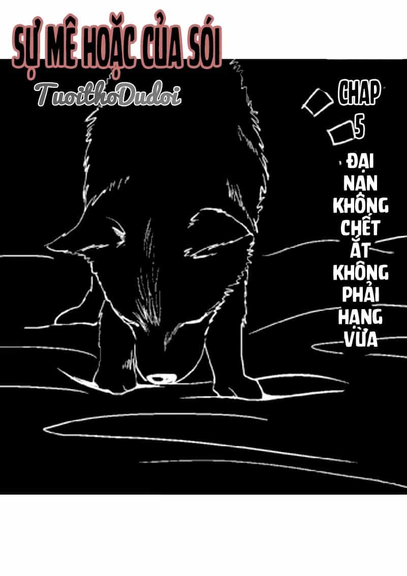 Sự Mê Hoặc Của Sói - Chương 4 - ảnh 2