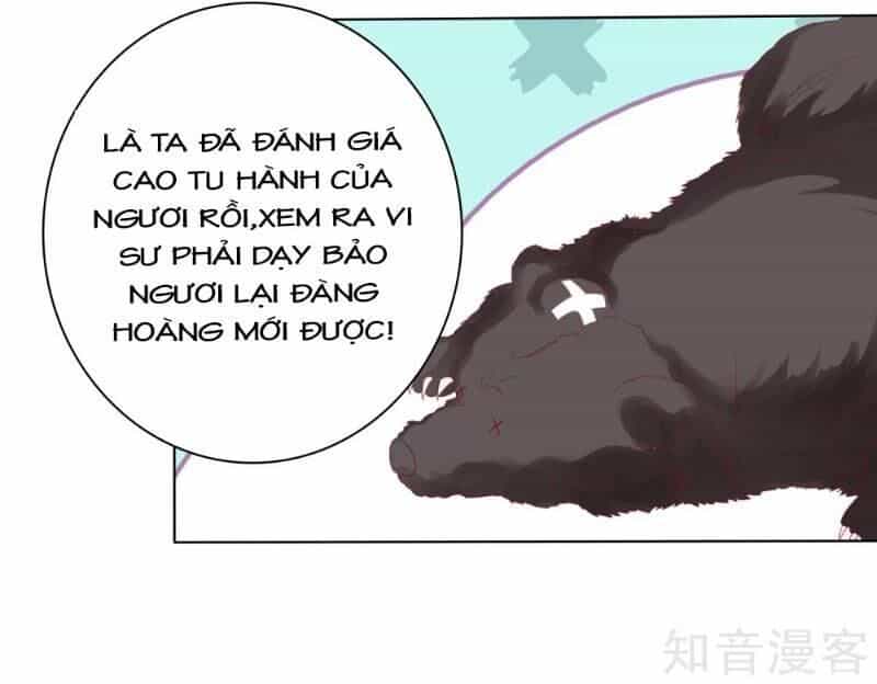 Sư Phụ, Cái Kia Ăn Ngon! - Chương 14 - ảnh 30