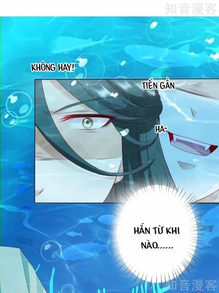 Sư Phụ, Cái Kia Ăn Ngon! - Chương 28 - ảnh 31