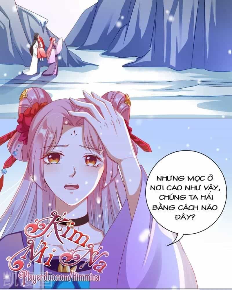 Sư Phụ, Cái Kia Ăn Ngon! - Chương 39 - ảnh 23