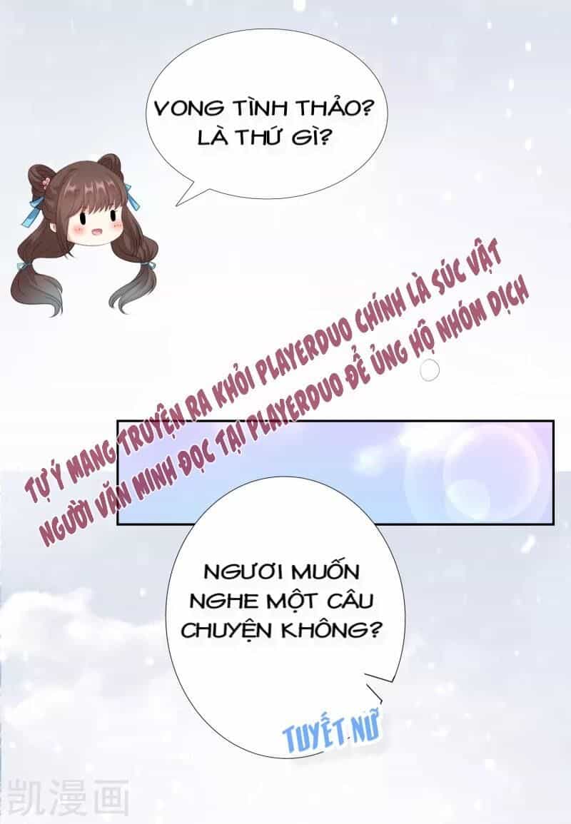 Sư Phụ, Cái Kia Ăn Ngon! - Chương 46 - ảnh 13