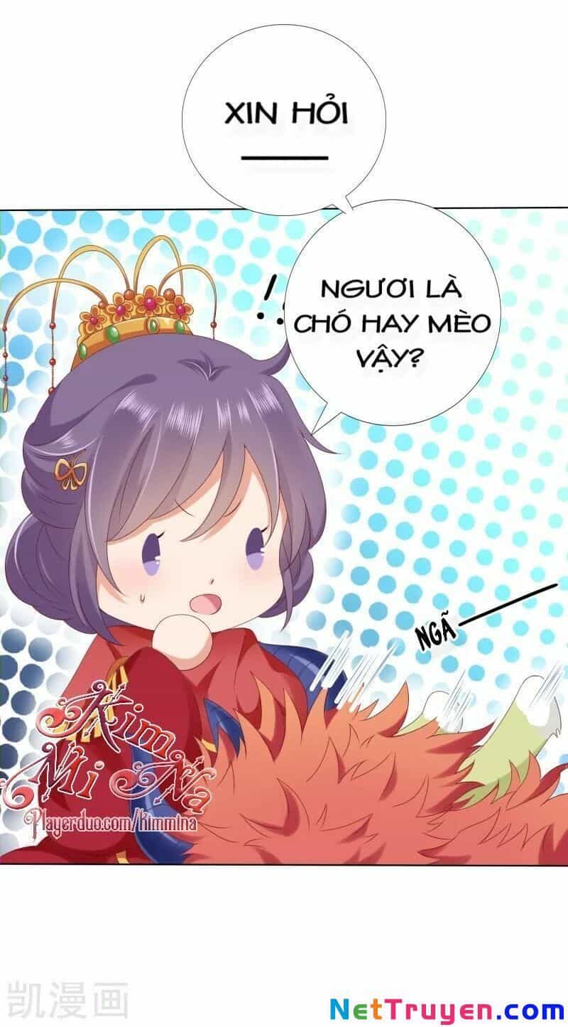 Sư Phụ, Cái Kia Ăn Ngon! - Chương 53 - ảnh 5