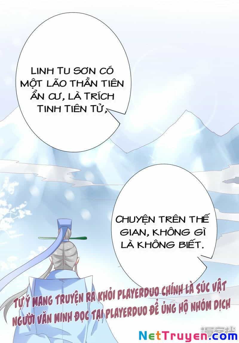 Sư Phụ, Cái Kia Ăn Ngon! - Chương 54 - ảnh 33