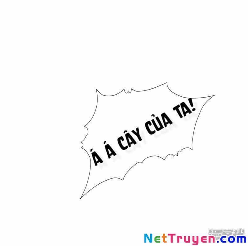 Sư Phụ, Cái Kia Ăn Ngon! - Chương 56 - ảnh 7