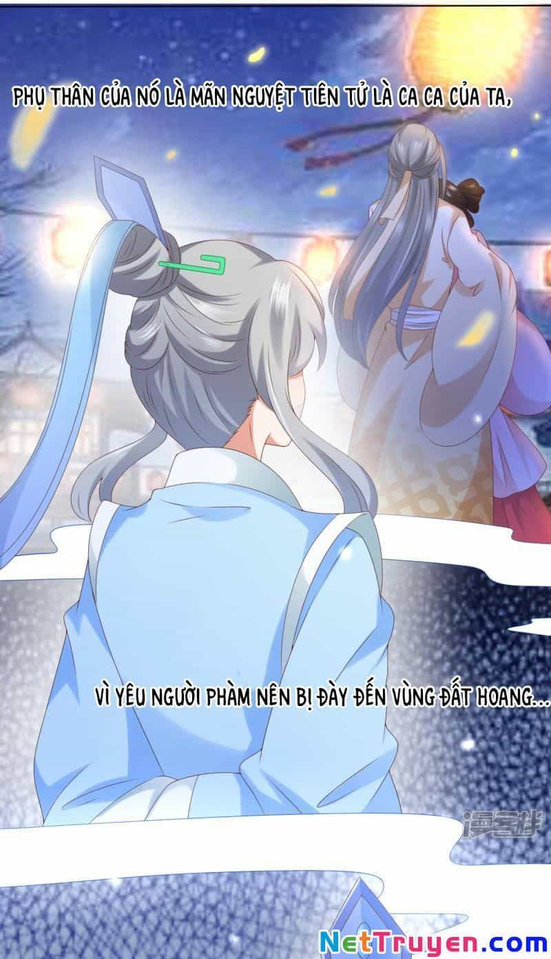 Sư Phụ, Cái Kia Ăn Ngon! - Chương 76 - ảnh 4