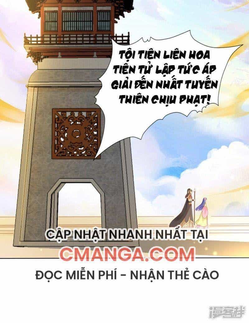 Sư Phụ, Cái Kia Ăn Ngon! - Chương 92 - ảnh 10