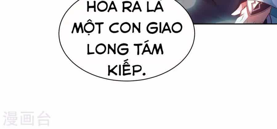 Sư Phụ Của Ta Là Thần Tiên - Chương 26 - ảnh 29