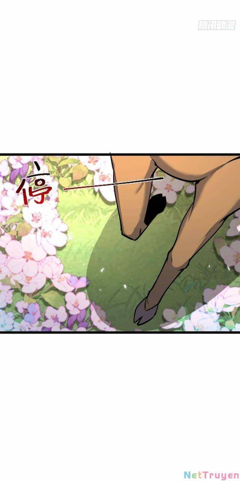 Sư Phụ Của Ta Mỗi Khi Đến Đại Nạn Mới Đột Phá - Chương 13 - ảnh 2