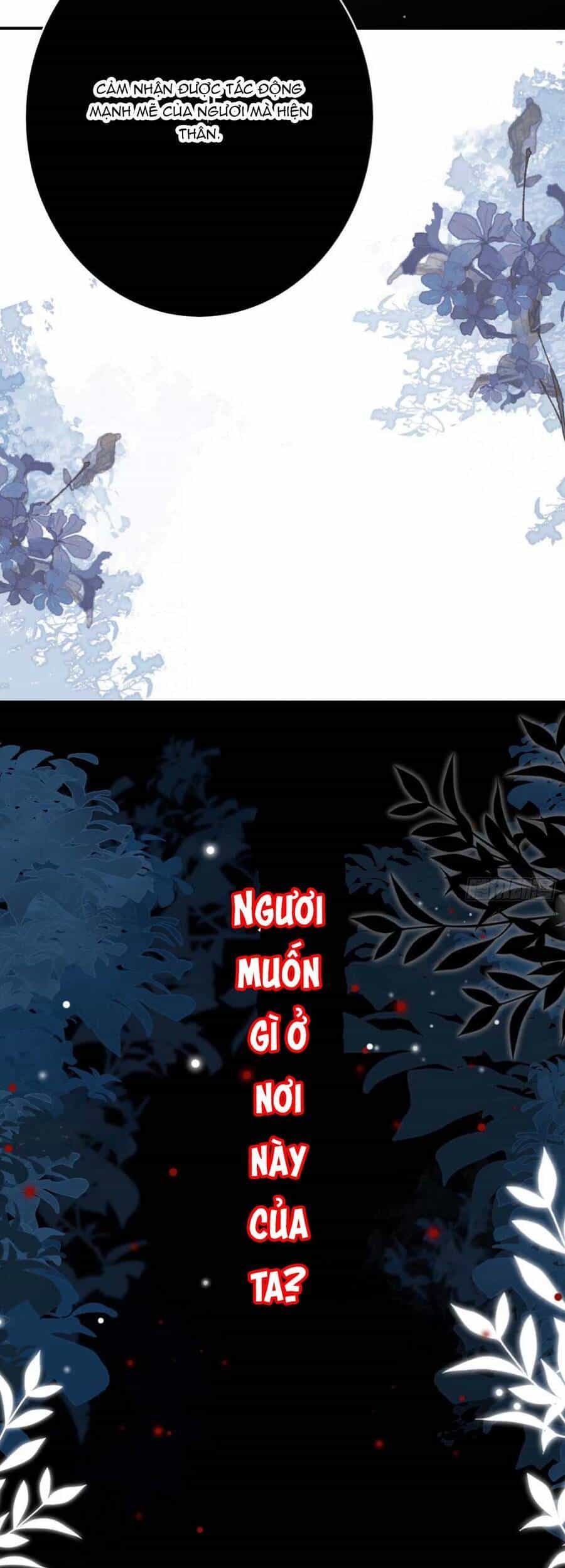 Sư Phụ Ta Muốn Người Là Của Riêng Ta - Chương 14 - ảnh 7