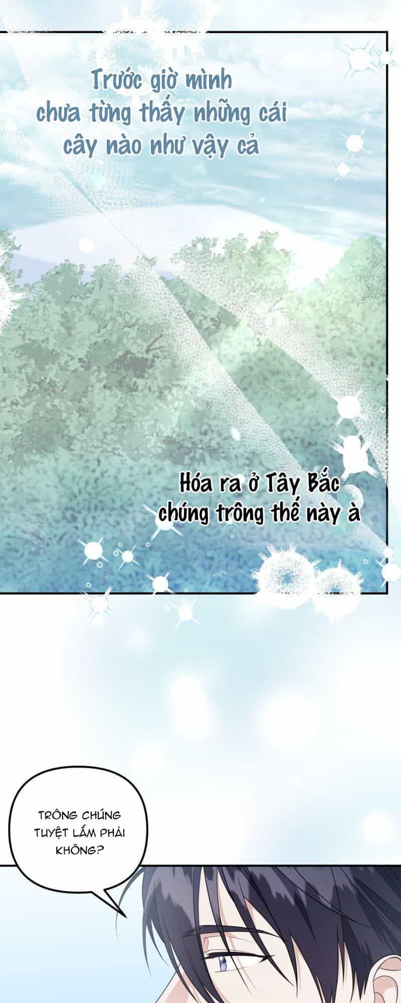 Sự Quyến Rũ Của Người Vợ - Chương 15 - ảnh 2