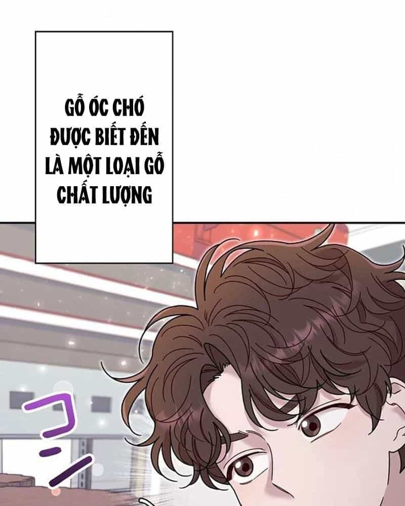 Sự Tái Sinh Của Nhà Thiết Kế Tài Ba - Chương 19 - ảnh 16