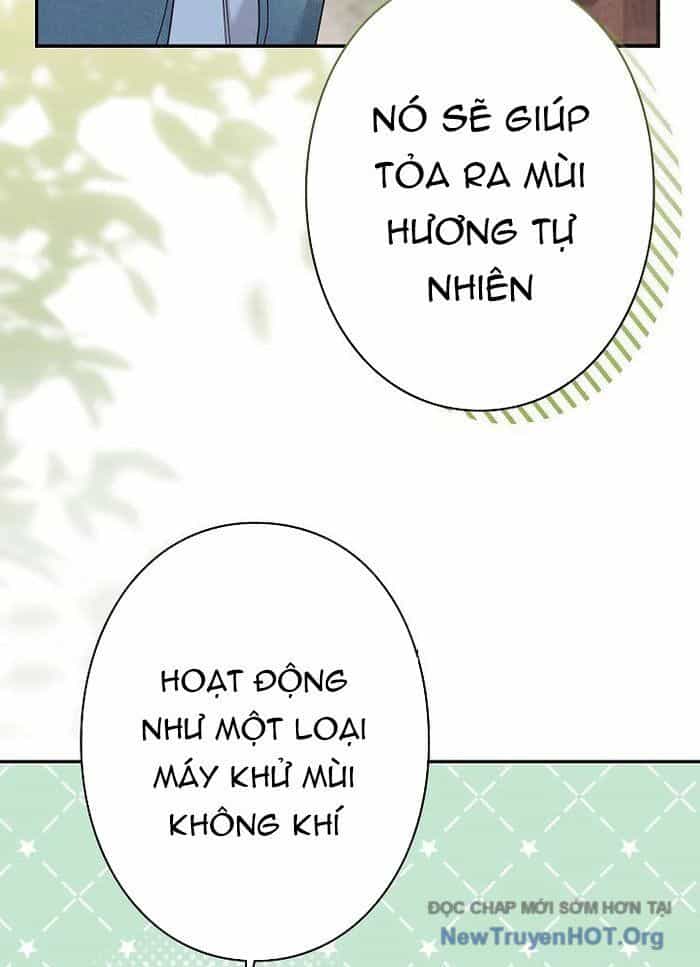 Sự Tái Sinh Của Nhà Thiết Kế Tài Ba - Chương 25 - ảnh 77