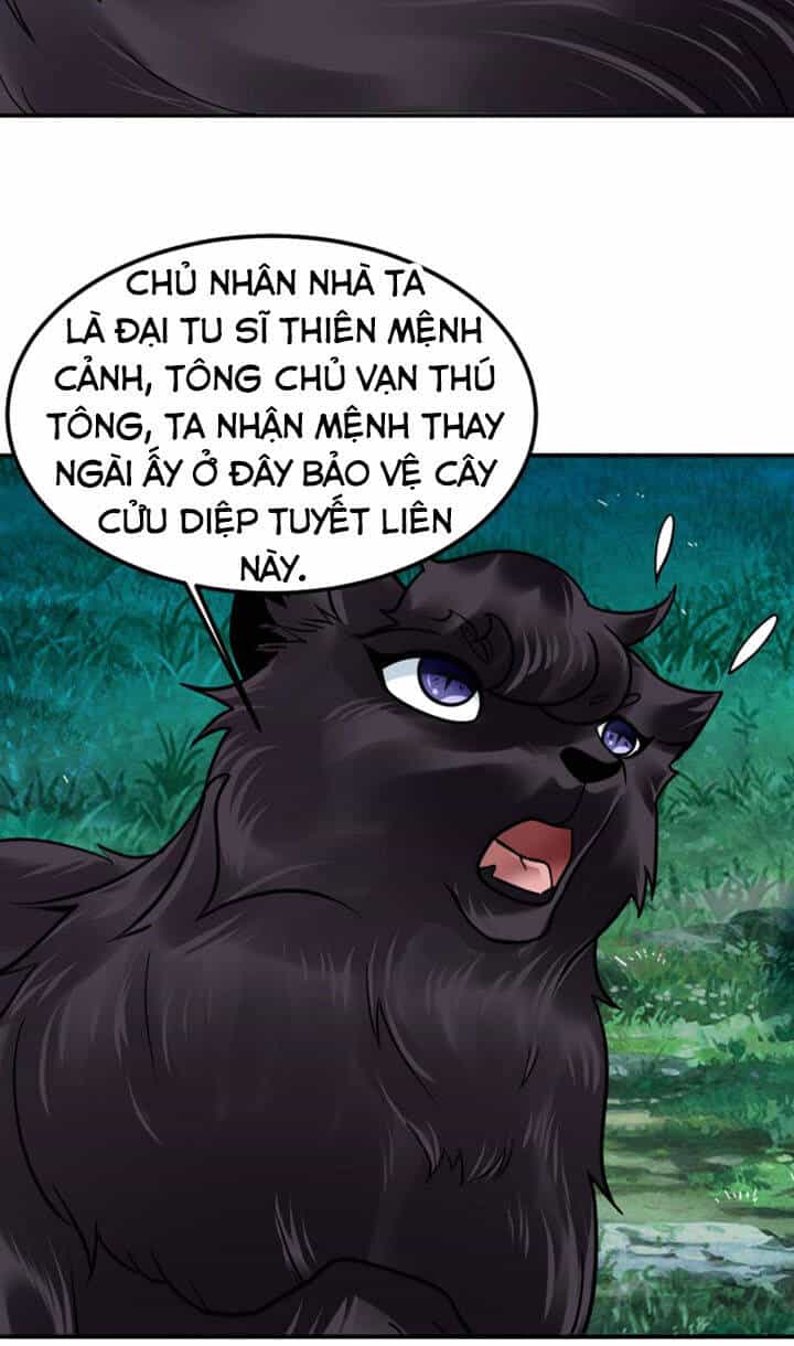 Sư Tổ Của Ta Là Thiên Hạ Đệ Nhất - Chương 19 - ảnh 40