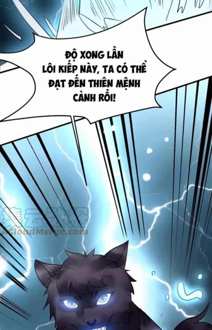 Sư Tổ Của Ta Là Thiên Hạ Đệ Nhất - Chương 40 - ảnh 70