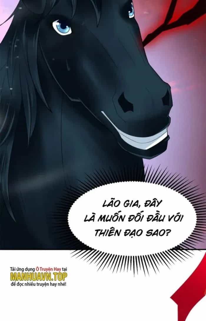 Sư Tổ Của Ta Là Thiên Hạ Đệ Nhất - Chương 53 - ảnh 14