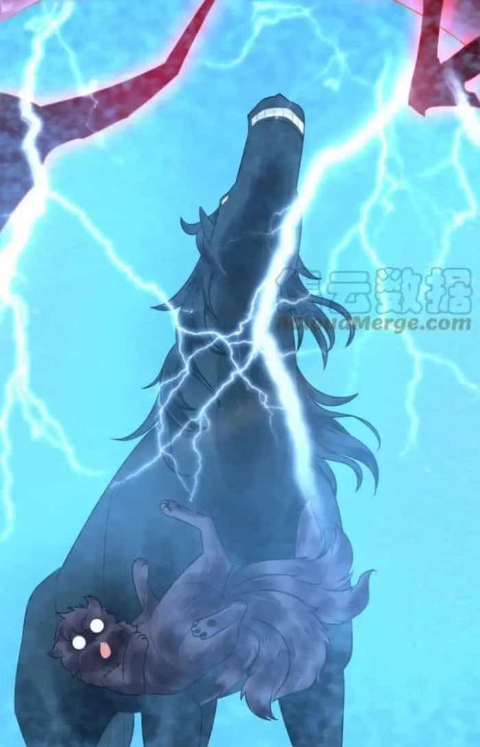 Sư Tổ Của Ta Là Thiên Hạ Đệ Nhất - Chương 53 - ảnh 17