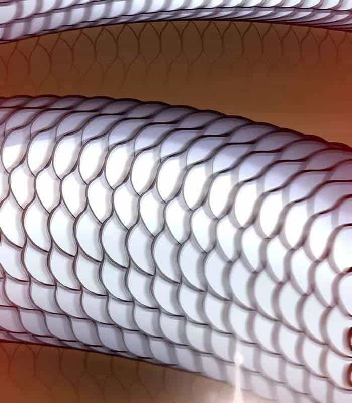 Sư Tôn Của Ta Luôn Dõi Theo - Chương 11 - ảnh 131
