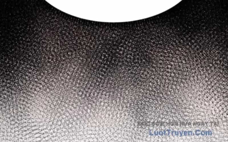 Sư Tôn Của Ta Luôn Dõi Theo - Chương 61 - ảnh 221
