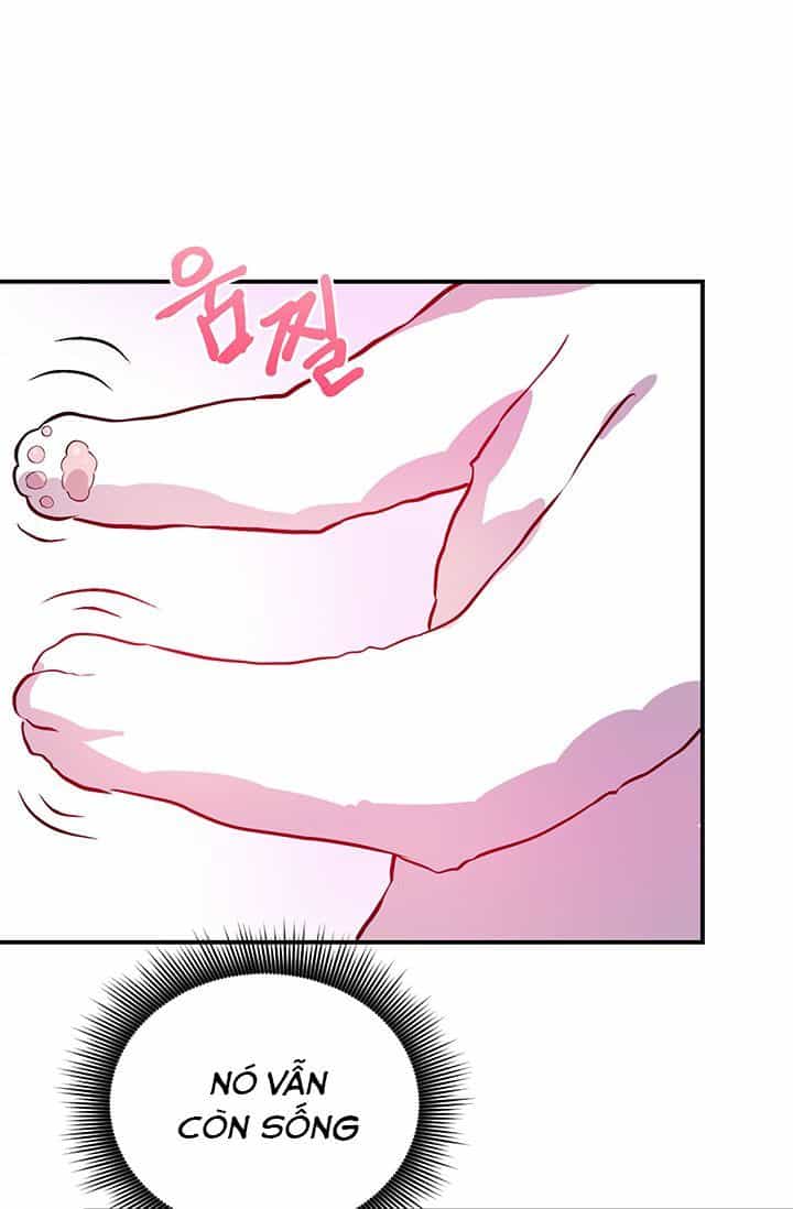 Sự Trả Thù Của Chúa Tể Bóng Tối - Chương 1 - ảnh 57
