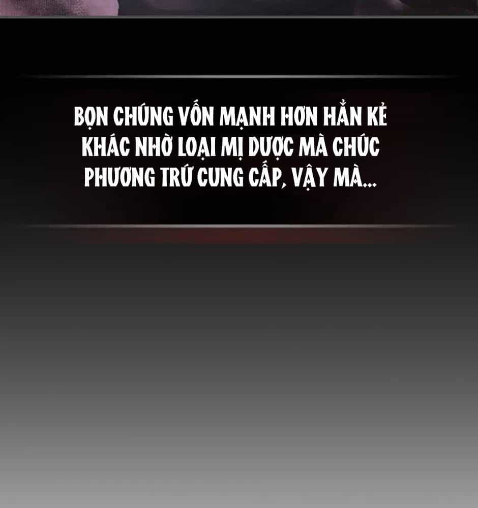 Sự Trở Lại Của Chiến Thần - Chương 35 - ảnh 30