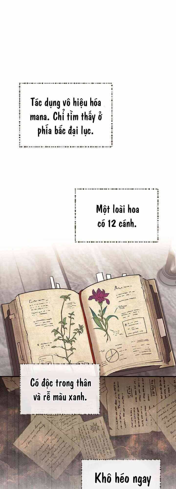 Sự Trở Lại Của Pháp Sư Cấp 8 - Chương 8 - ảnh 25