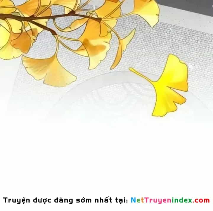 Sự Trở Lại Của Quyền Vương - Chương 51 - ảnh 29