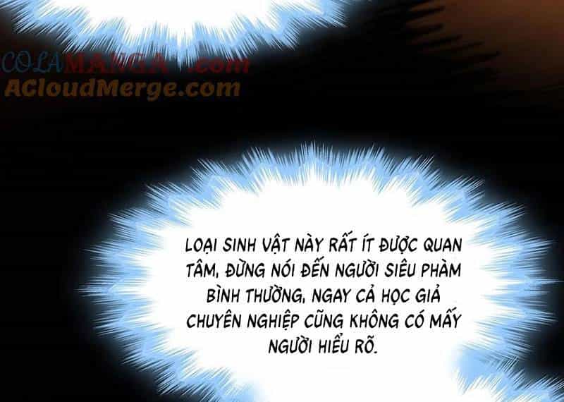 Sức Mạnh Của Ác Thần - Chương 121 - ảnh 31