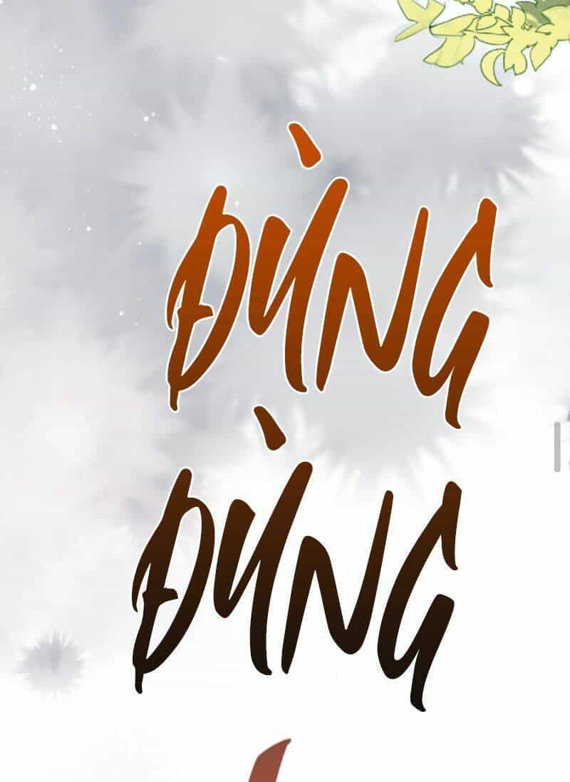 Sủng Bé Cá Koi 3 Tuổi Rưỡi - Chương 24 - ảnh 27