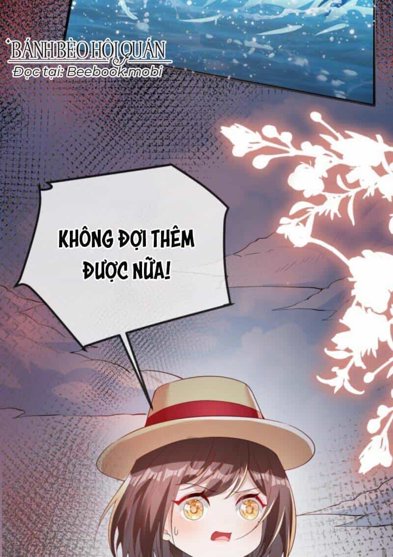 Sủng Bé Cá Koi 3 Tuổi Rưỡi - Chương 25 - ảnh 6