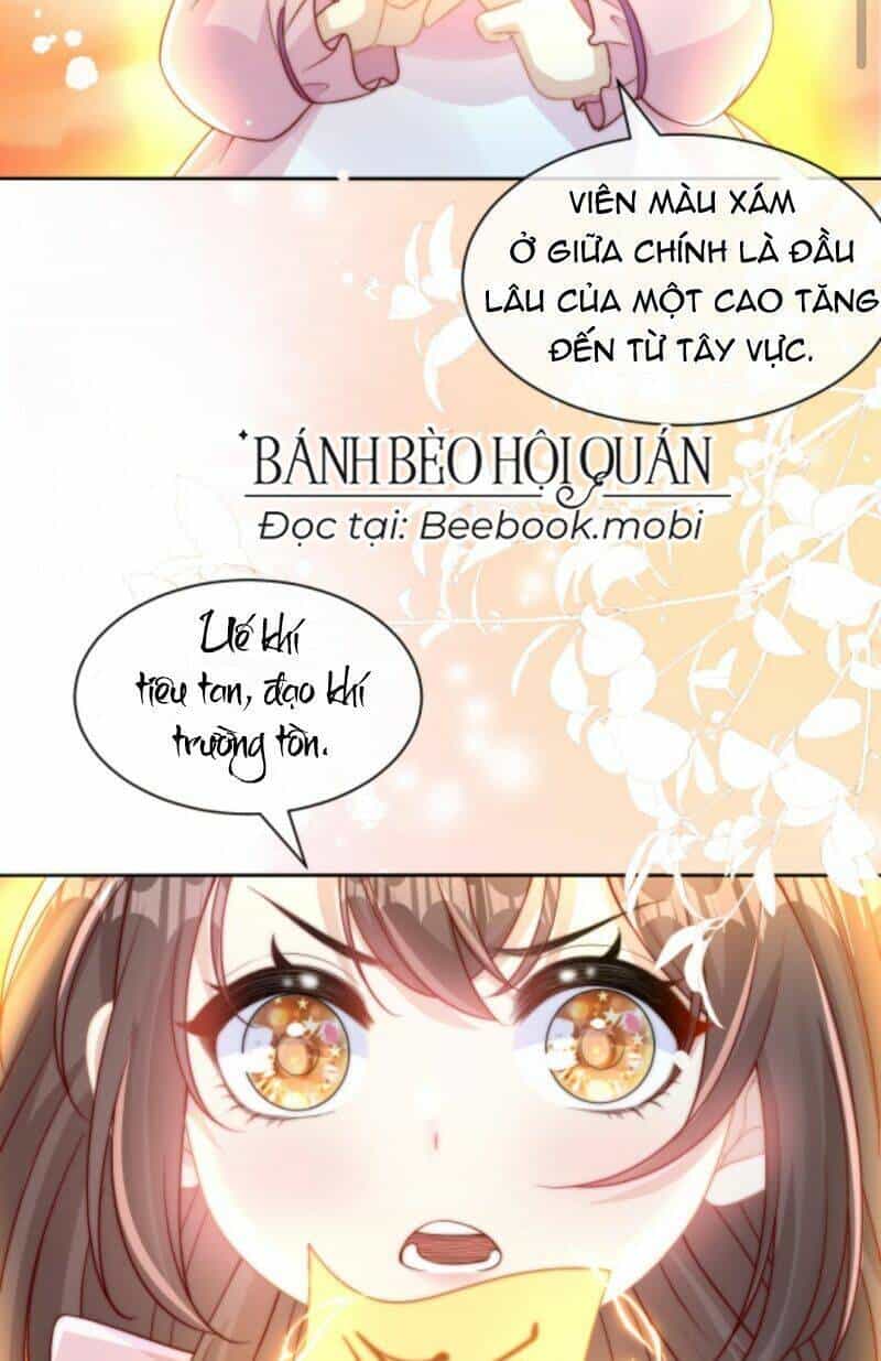 Sủng Bé Cá Koi 3 Tuổi Rưỡi - Chương 9 - ảnh 27