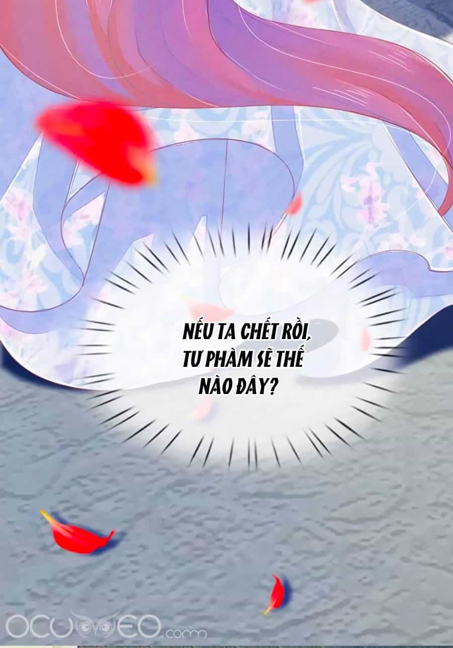 Sủng Phi Bất Lương: Vương Gia Phúc Hắc Chạy Đi Đâu - Chương 4 - ảnh 12