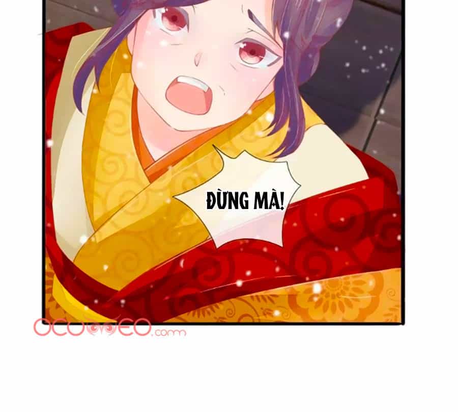 Sủng Phi Bất Lương: Vương Gia Phúc Hắc Chạy Đi Đâu - Chương 6 - ảnh 6