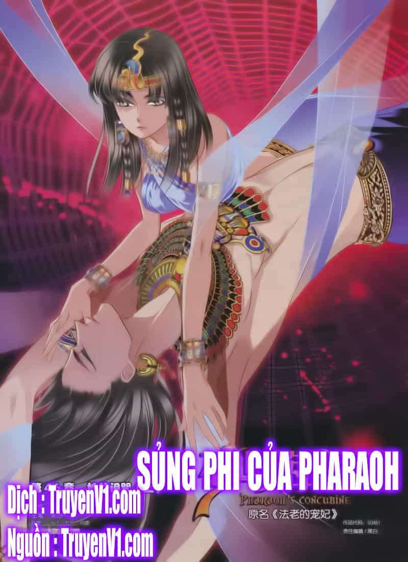 Sủng Phi Của Pharaoh - Chương 47 - ảnh 1