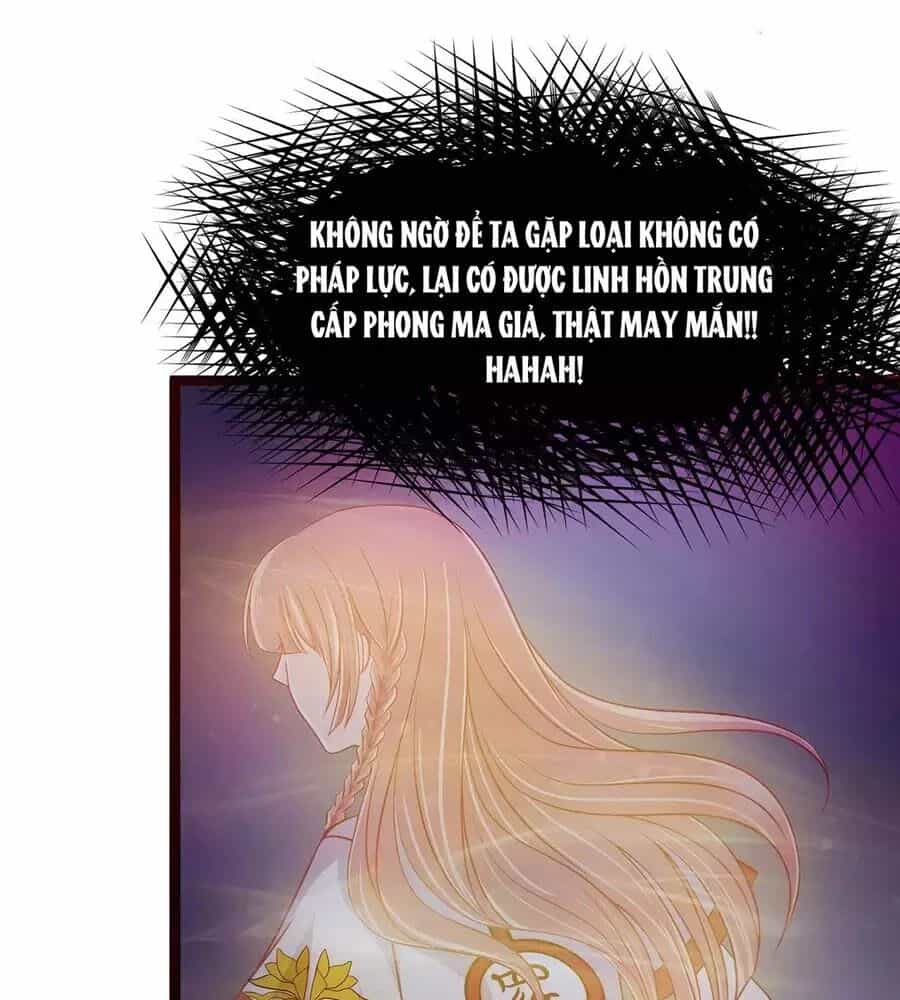 Sủng Thê Cuồng Ma Của Minh Vương Điện Hạ - Chương 1 - ảnh 13