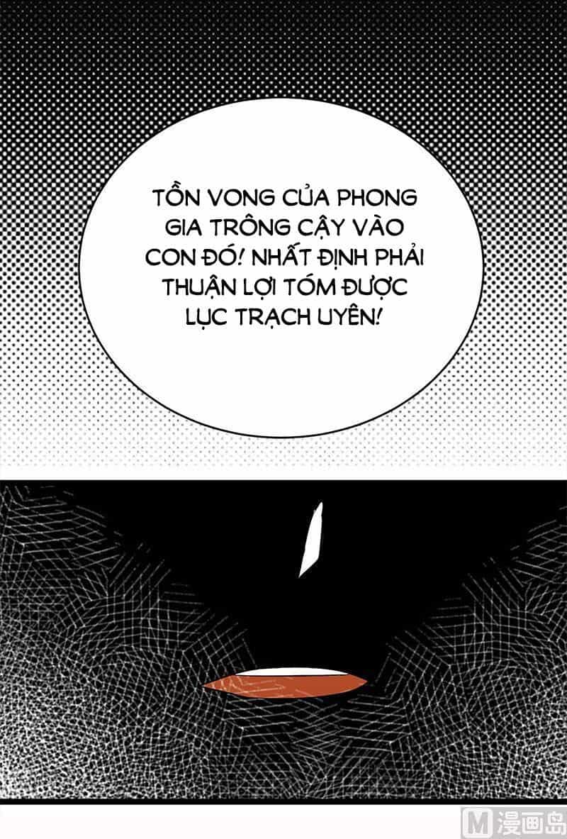 Sủng Thê Thành Nghiện: Lục Thiếu Sủng Từ Đáy Lòng - Chương 93 - ảnh 5