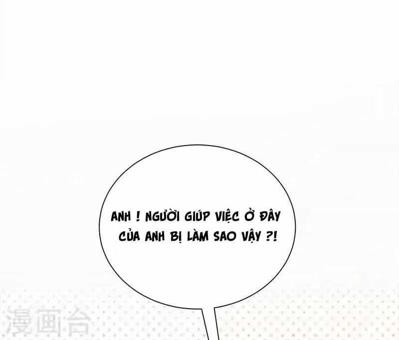 Sủng Thê Thành Nghiện: Lục Thiếu Sủng Từ Đáy Lòng - Chương 28 - ảnh 7