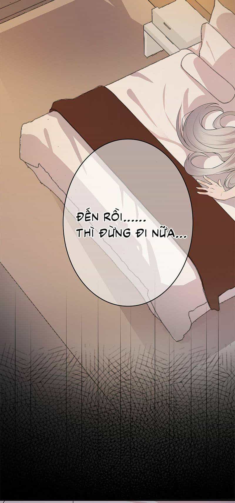 Sủng Thê Thành Nghiện: Lục Thiếu Sủng Từ Đáy Lòng - Chương 2 - ảnh 11
