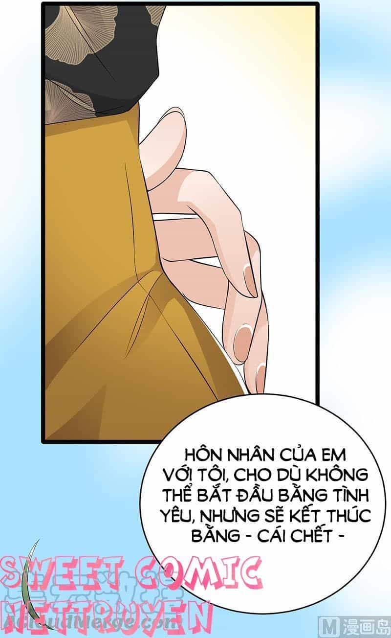 Sủng Thê Thành Nghiện: Lục Thiếu Sủng Từ Đáy Lòng - Chương 61 - ảnh 4
