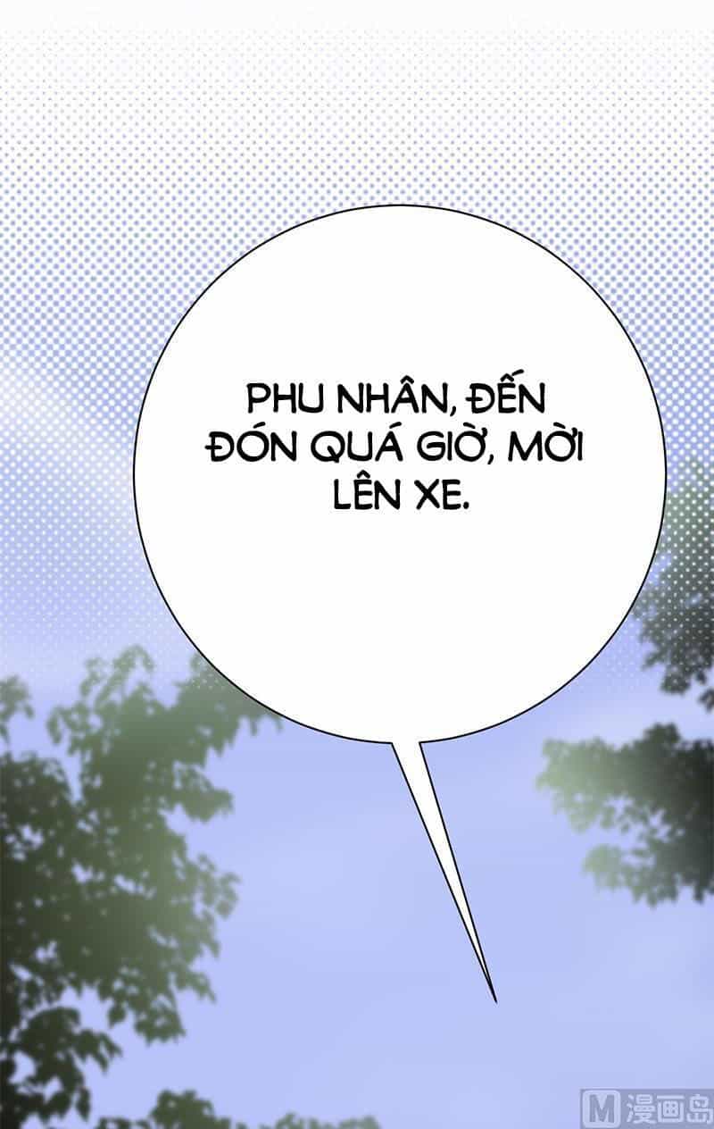 Sủng Thê Thành Nghiện: Lục Thiếu Sủng Từ Đáy Lòng - Chương 65 - ảnh 24
