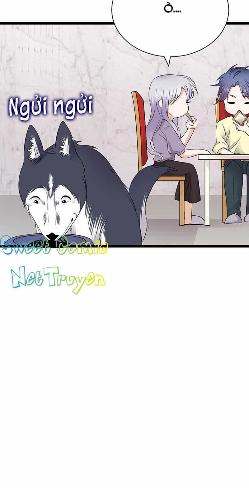 Sủng Thê Thành Nghiện: Lục Thiếu Sủng Từ Đáy Lòng - Chương 73 - ảnh 4