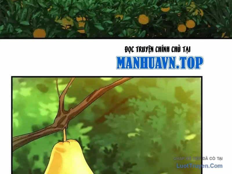 Ta Bán Hàng Vỉa Hè Ở Mạt Thế - Chương 75 - ảnh 55