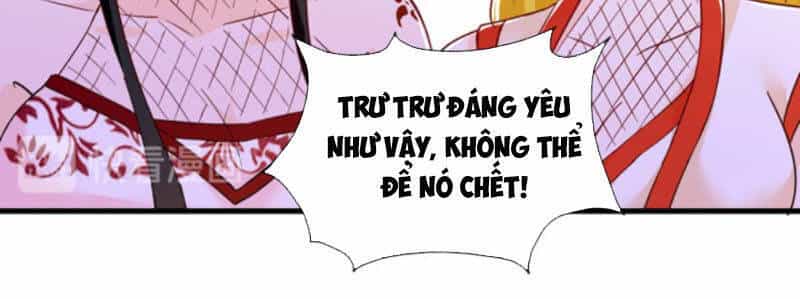 Ta Bị Phong Ấn Chín Trăm Triệu Thứ - Chương 26 - ảnh 8