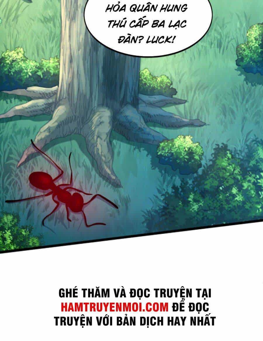 Ta Cày Level Từ Trong Gương - Chương 11 - ảnh 52
