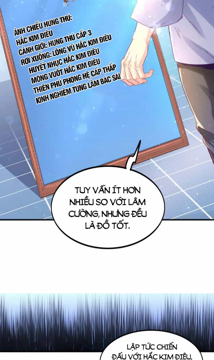 Ta Cày Level Từ Trong Gương - Chương 3 - ảnh 79