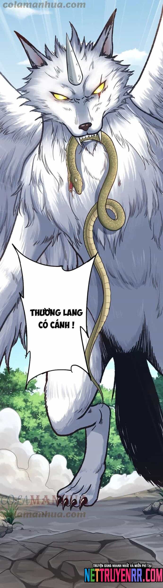 Ta Cày Level Từ Trong Gương - Chương 63 - ảnh 27