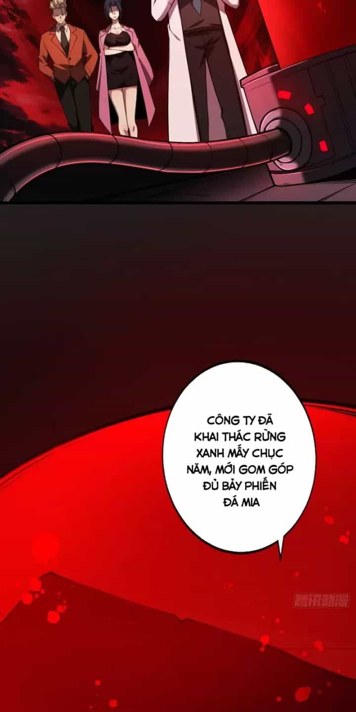 Ta, Chúa Tể Rừng Xanh - Chương 16 - ảnh 4