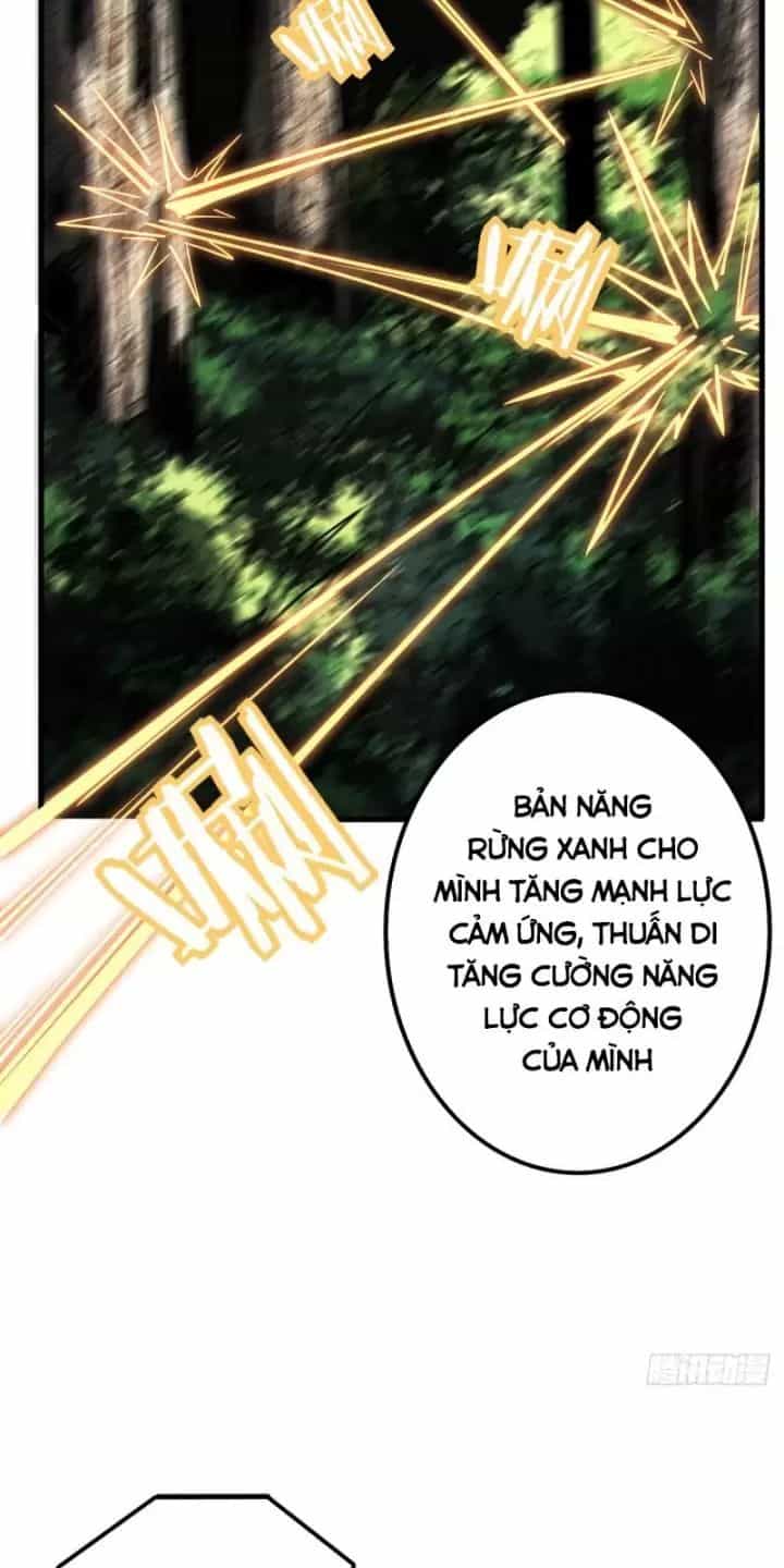 Ta, Chúa Tể Rừng Xanh - Chương 2 - ảnh 56