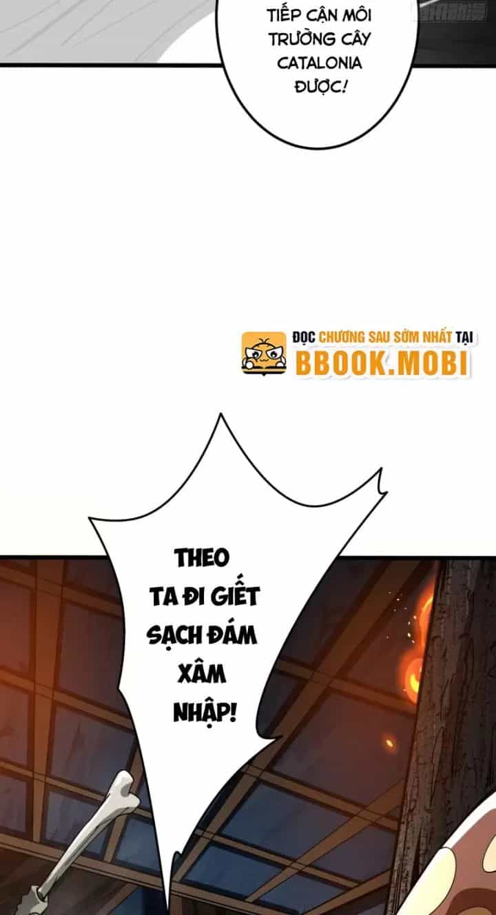 Ta, Chúa Tể Rừng Xanh - Chương 6 - ảnh 71