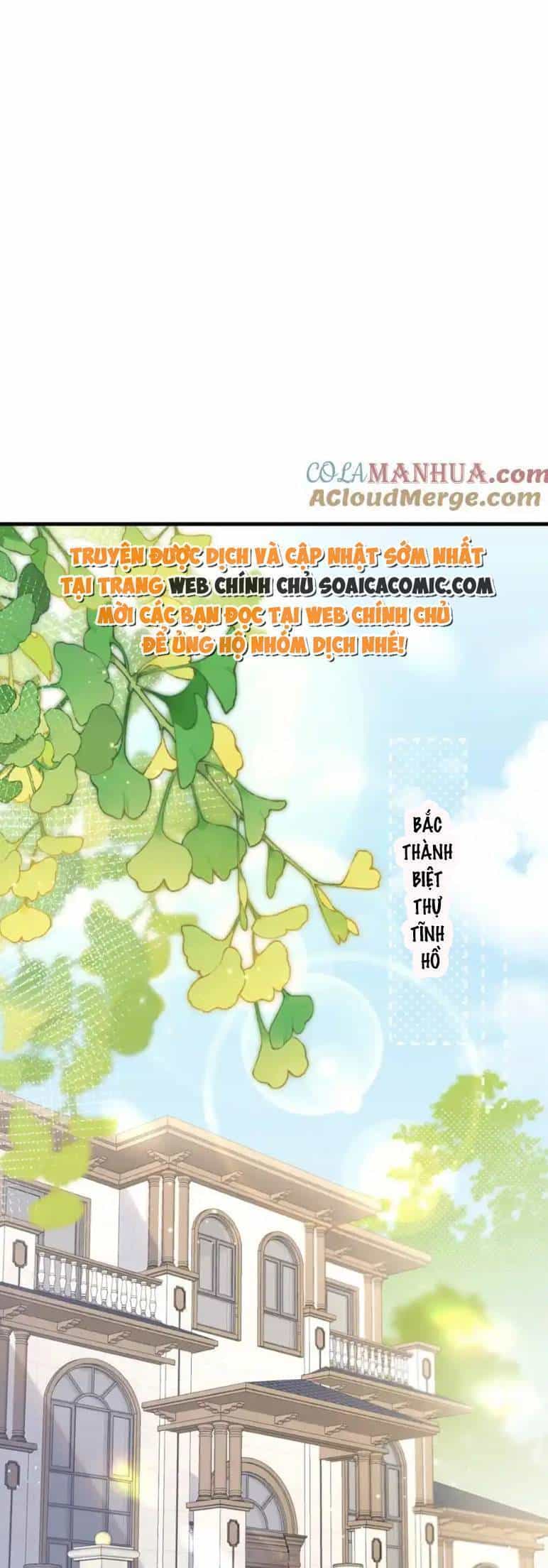 Ta Có Hào Quang Bá Tổng - Chương 13 - ảnh 1